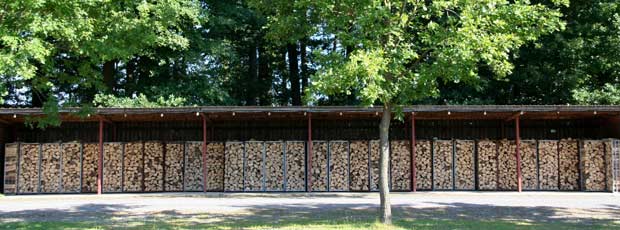 Buchenholz, Kaminholz